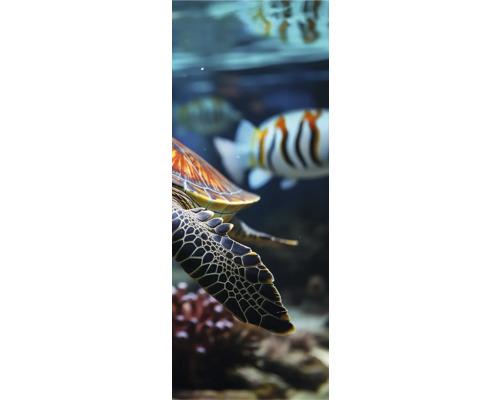 Nahaufnahme einer Meeresschildkröte im Aquarium