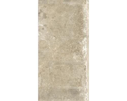 Wand- und Bodenfliese Watford beige 60x120 cm