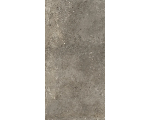 Wand- und Bodenfliese Watford taupe 60x120 cm