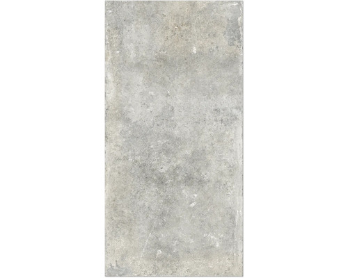 Wand- und Bodenfliese Watford light grey 60x120 cm