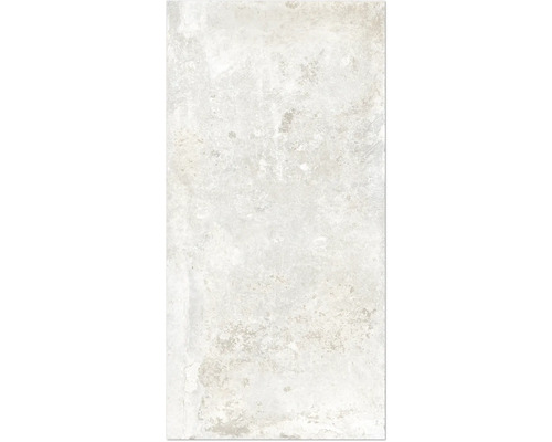 Wand- und Bodenfliese Watford white 60x120 cm