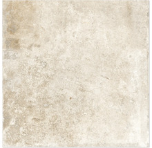 Produktbild: Wand- und Bodenfliese Watford ivory 60x60 cm