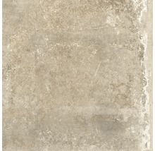 Produktbild: Wand- und Bodenfliese Watford beige 60x60 cm