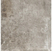 Produktbild: Wand- und Bodenfliese Watford taupe 60x60 cm