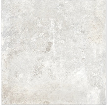 Produktbild: Wand- und Bodenfliese Watford white 60x60 cm