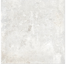 Produktbild: Wand- und Bodenfliese Watford white 60,9x60,9 cm