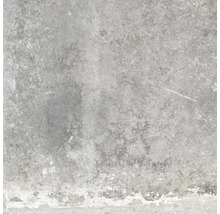 Graue Zementfliese für den Innen- und Außenbereich