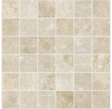 Produktbild: Feinsteinzeugmosaik Watford beige 30x30 cm