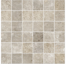 Produktbild: Feinsteinzeugmosaik Watford taupe 30x30 cm