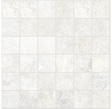 Produktbild: Feinsteinzeugmosaik Watford white 30x30 cm