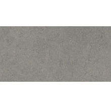 Produktbild: Wand- und Bodenfliese Pamesa Cromat marengo 30x60 cm matt