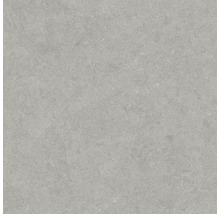 Produktbild: Wand- und Bodenfliese Pamesa Cromat gris 60x60 cm matt