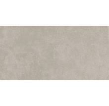 Produktbild: Wand- und Bodenfliese Ares light grey 29,8x59,8 cm matt rektifiziert