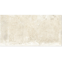 Produktbild: Wand- und Bodenfliese Watford ivory 60x120 cm