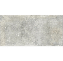 Produktbild: Wand- und Bodenfliese Watford light grey 60x120 cm