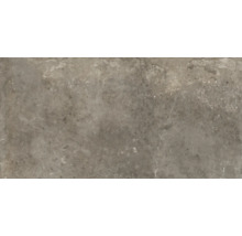 Produktbild: Wand- und Bodenfliese Watford taupe 60x120 cm