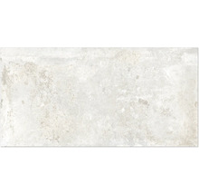 Produktbild: Wand- und Bodenfliese Watford white 60x120 cm