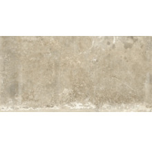 Produktbild: Wand- und Bodenfliese Watford beige 60x120 cm