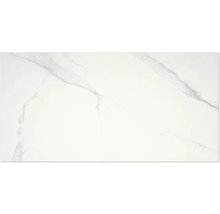 Produktbild: Wand- und Bodenfliese Lumiere white 59x119 cm