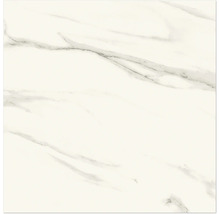 Produktbild: Wand- und Bodenfliese Milky Veins weiss poliert 60x60 cm