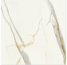 Produktbild: Wand- und Bodenfliese Exclusive Marble weiss poliert 60x60 cm