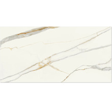 Produktbild: Wand- und Bodenfliese Exclusive Marble weiss poliert 60x120 cm