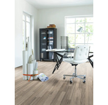 Heller Raum mit Schreibtisch, Bürostuhl, Schrank und Laminatboden