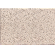 Nahaufnahme einer Betonpflasterplatte mit feiner, gesprenkelter Oberfläche.