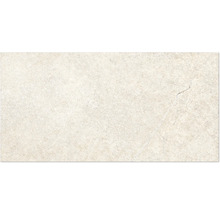 Produktbild: Wand- und Bodenfliese Alchemy Earth 60x120 cm