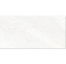 Produktbild: Wand- und Bodenfliese Alchemy Pearl 60x120 cm