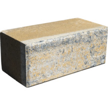 Einzelner Pflasterstein aus Beton