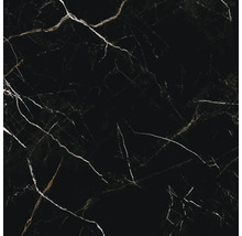 Produktbild: Wand- und Bodenfliese Galactic black poliert 60x60 cm