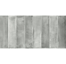 Produktbild: Wandfliese Living grey 31x62 cm