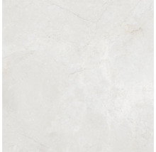 Produktbild: Wand- und Bodenfliese Wells ivory poliert 90x90cm