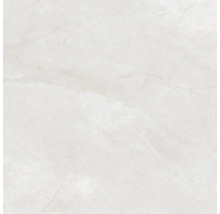 Produktbild: Wand- und Bodenfliese Wells ivory matt 120x120cm