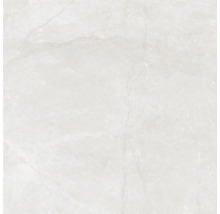 Produktbild: Wand- und Bodenfliese Wells ivory matt 60x60cm