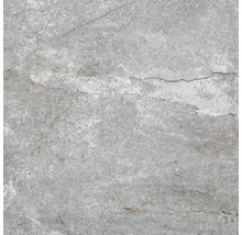 Produktbild: Wand- und Bodenfliese Wells ash matt 60x60cm