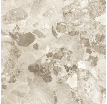 Muster einer Bodenfliese mit Marmoroptik