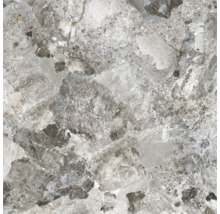 Nahaufnahme einer grauen Feinsteinzeugfliese mit Marmoroptik