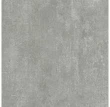 Feinsteinzeug Wand- und Bodenfliese Industrial Steel anpoliert 60 x 60 x 0,93 cm R10 A