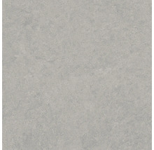 Produktbild: Wand- und Bodenfliese Pamesa Cromat gris 90x90cm anpoliert