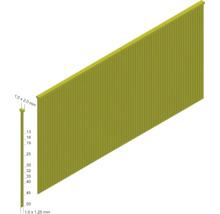 Streifennägel mit den Größen von 13 mm bis 50 mm