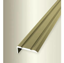 Treppenkantenprofil aus Metall