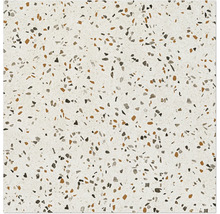 Produktbild: Wand- und Bodenfliese Pamesa Terrazzo terra 60x60 cm