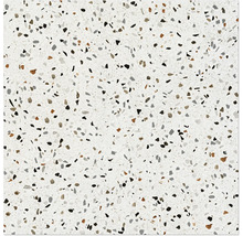 Produktbild: Wand- und Bodenfliese Pamesa Terrazzo grigio 60x60 cm