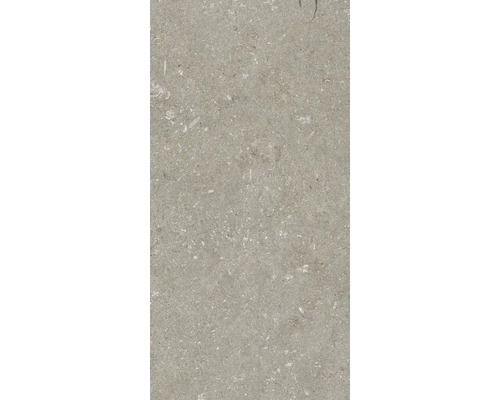 Produktbild 2 (groß) Wand- und Bodenfliese Shellstone taupe 30x60cm
