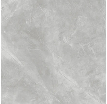 Graue Fliese mit Marmoroptik