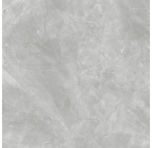 Graue Fliese mit Marmorstruktur