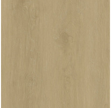 Holzstruktur für Bau- und Renovierungsprojekte