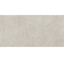 Feinsteinzeug Wand- und Bodenfliese Lavik Almond 59,1X119,1cm